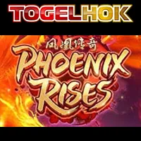 Phoenix Rises